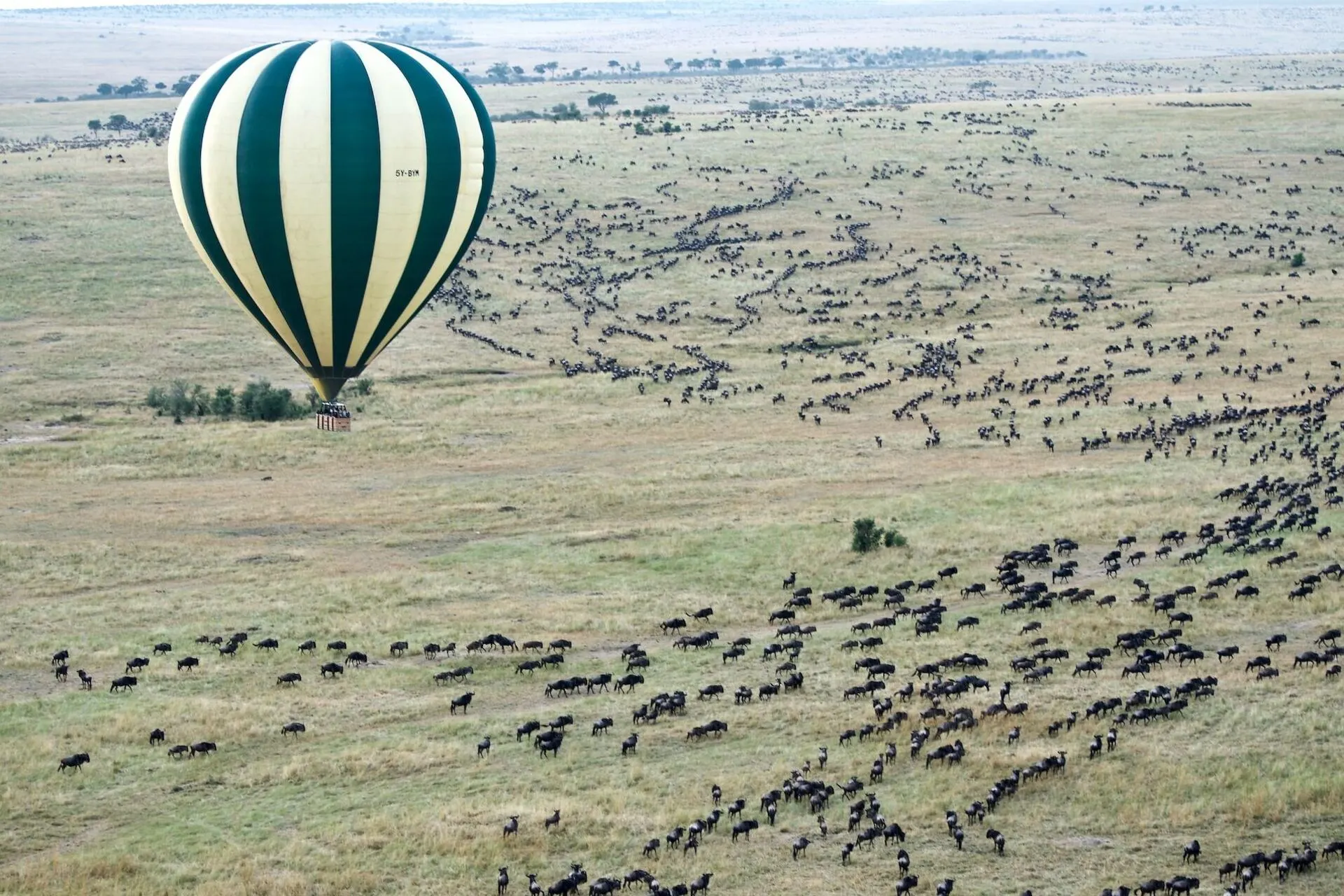 Masai Mara Short trip