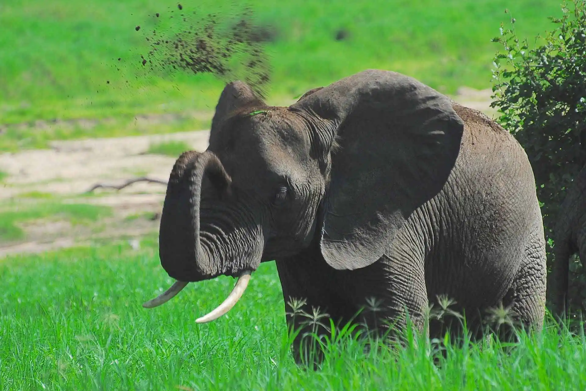 Tarangire National Park