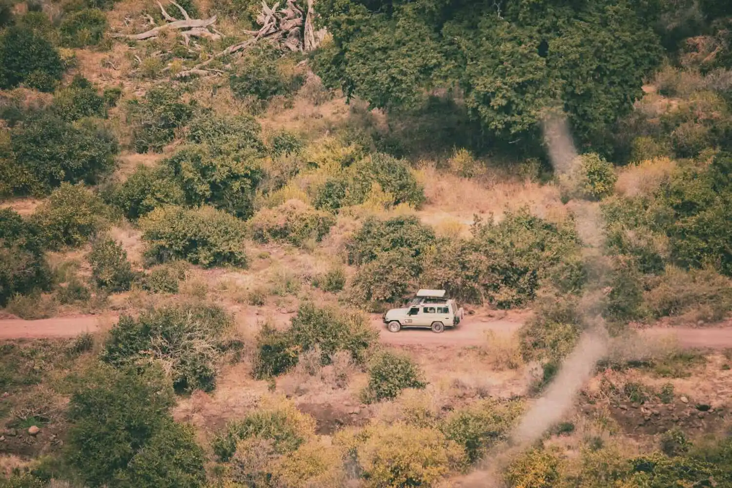 dirt road in lake manyara national park