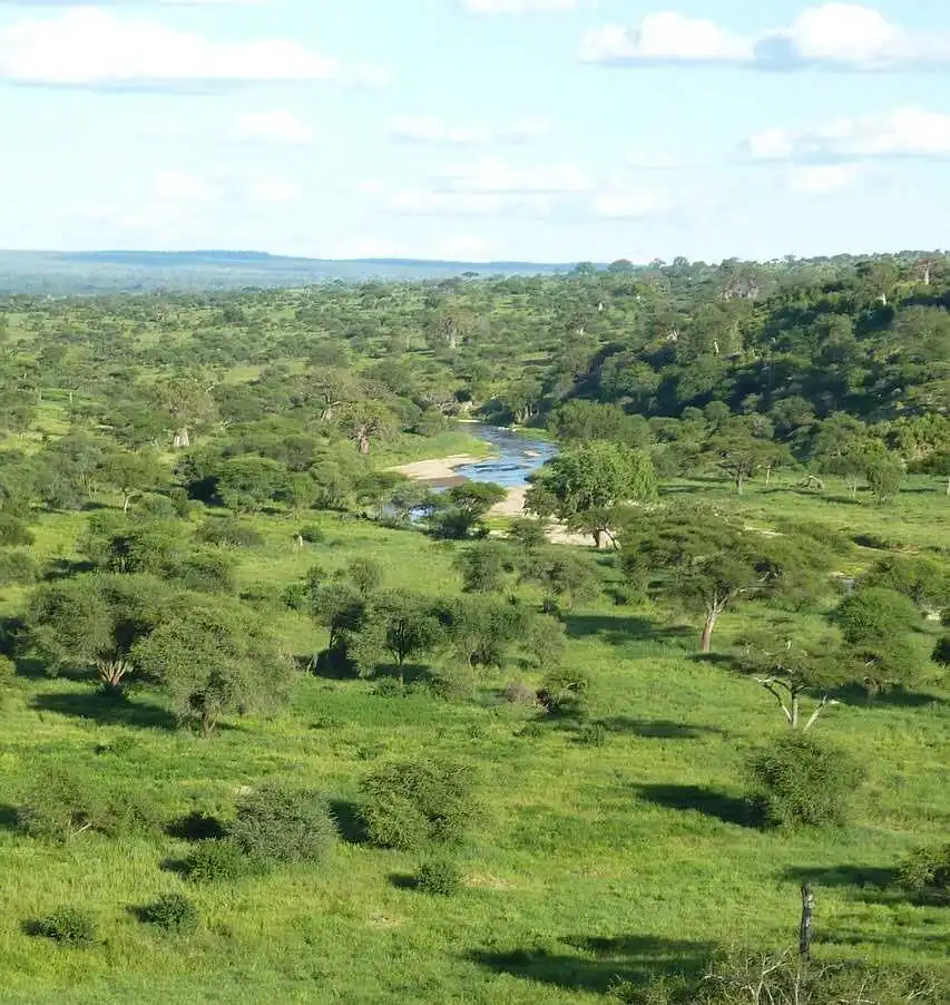 tarangire landscape views