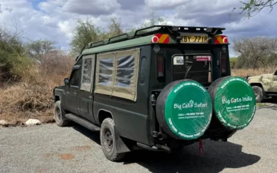 Best Safari Vehicle for Masai Mara Game Drives