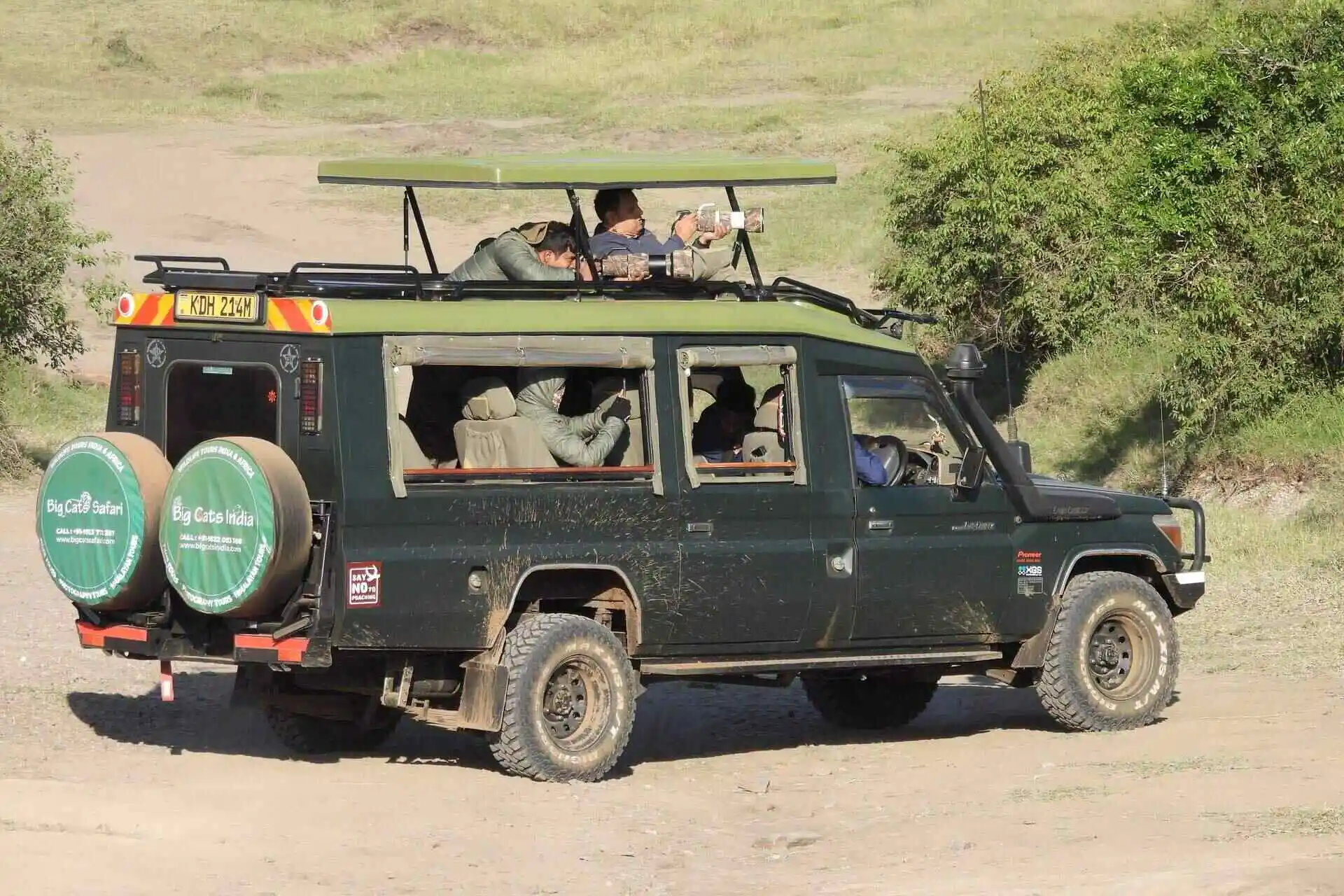 Big Cats Safari Land Cruiser