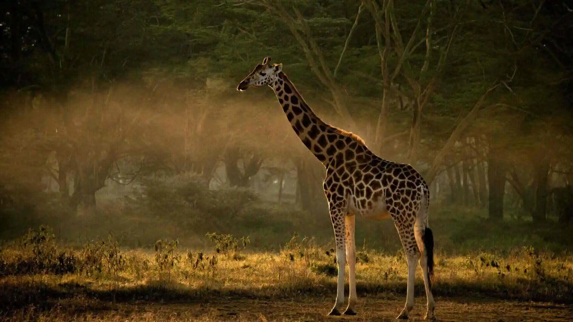 Samburu National Park